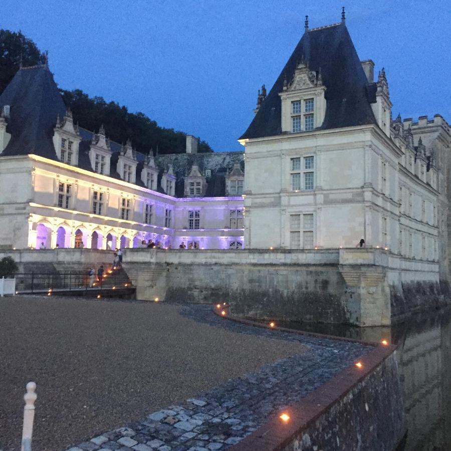 Chambre D'Hotes La Membrolle-sur-Choisille Bagian luar foto