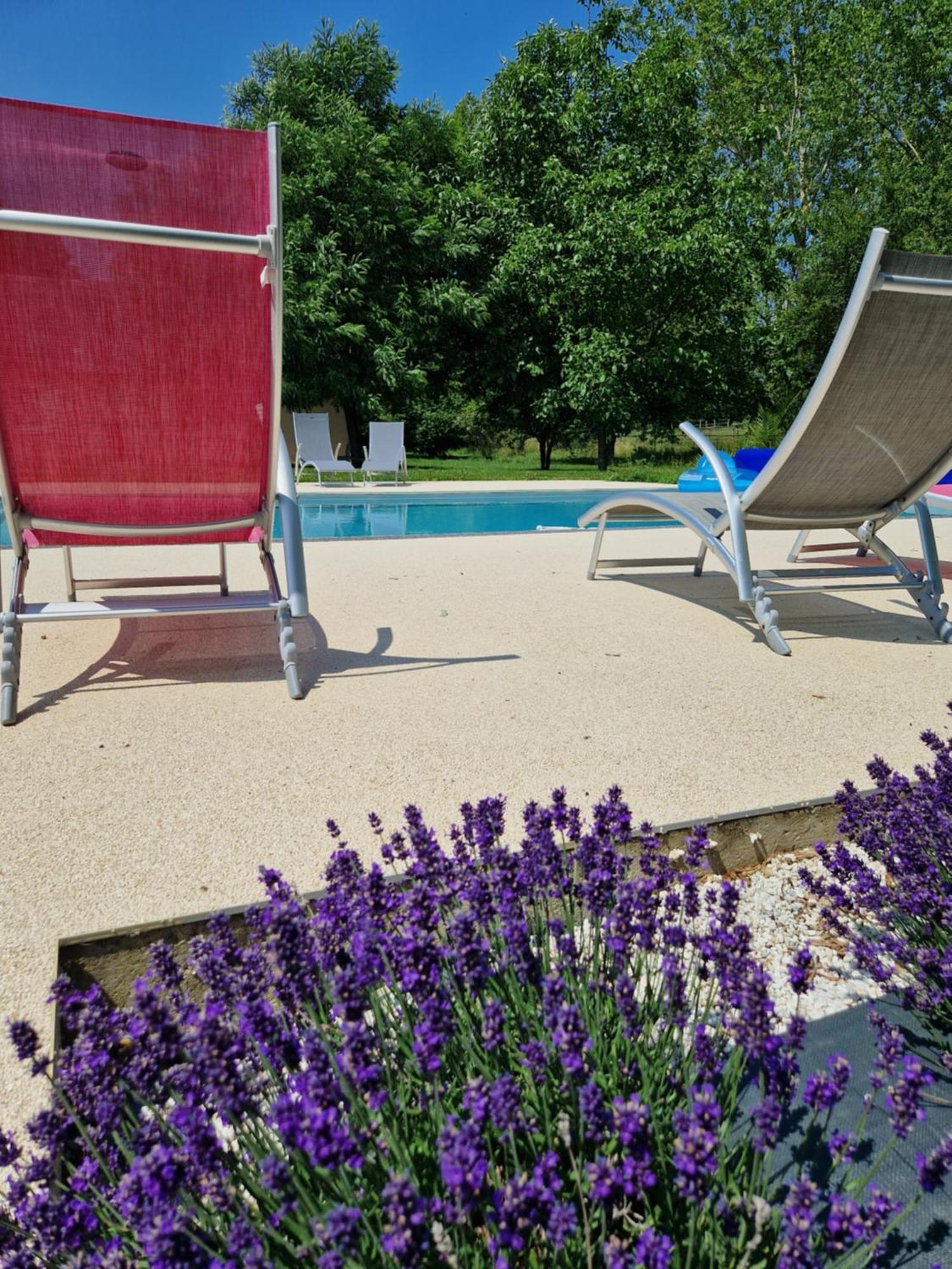 Chambre D'Hotes La Membrolle-sur-Choisille Bagian luar foto
